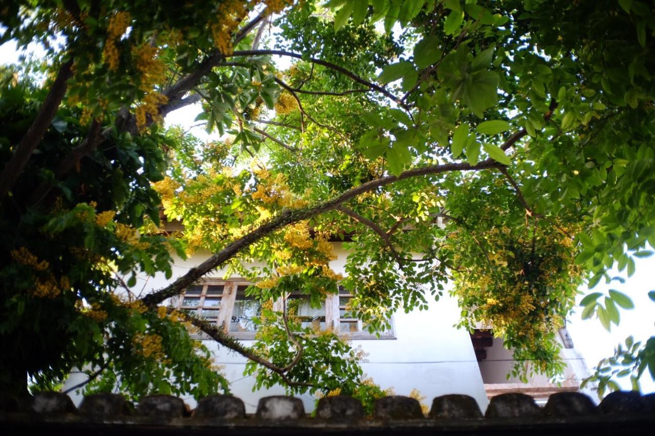 Mali Home Χόι Αν Εξωτερικό φωτογραφία
